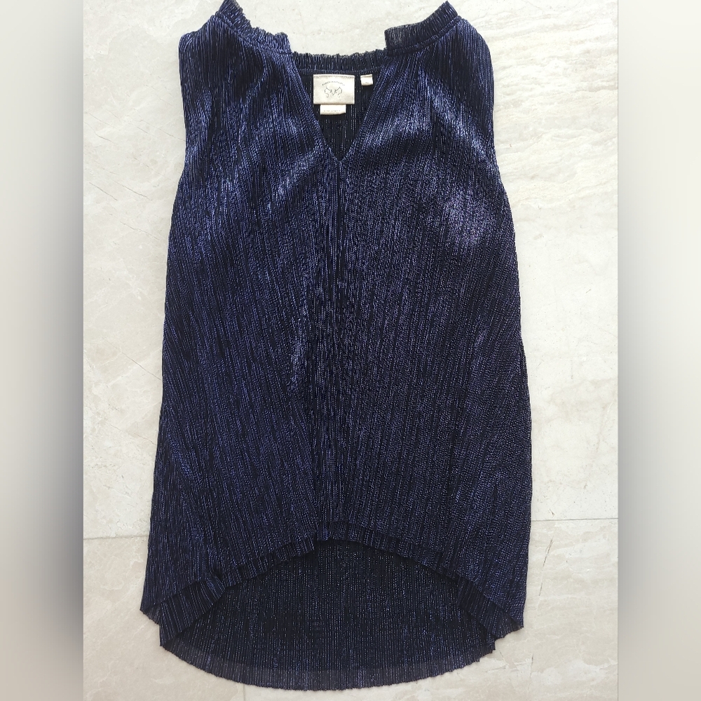 Blue top